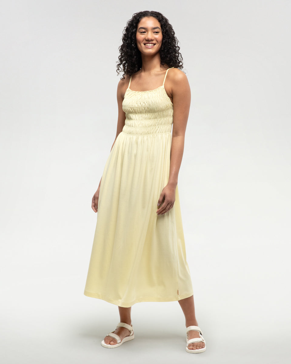 Tentree Women's Driftwood Dress