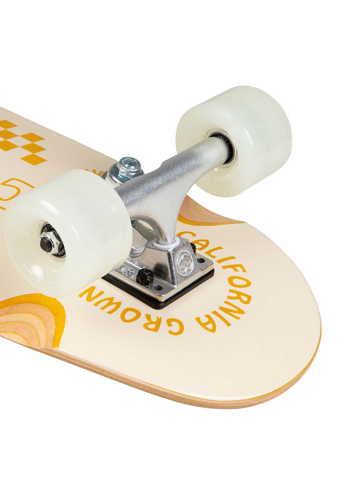 Arbor Cruiser Venice Pilsner Complete Skateboard