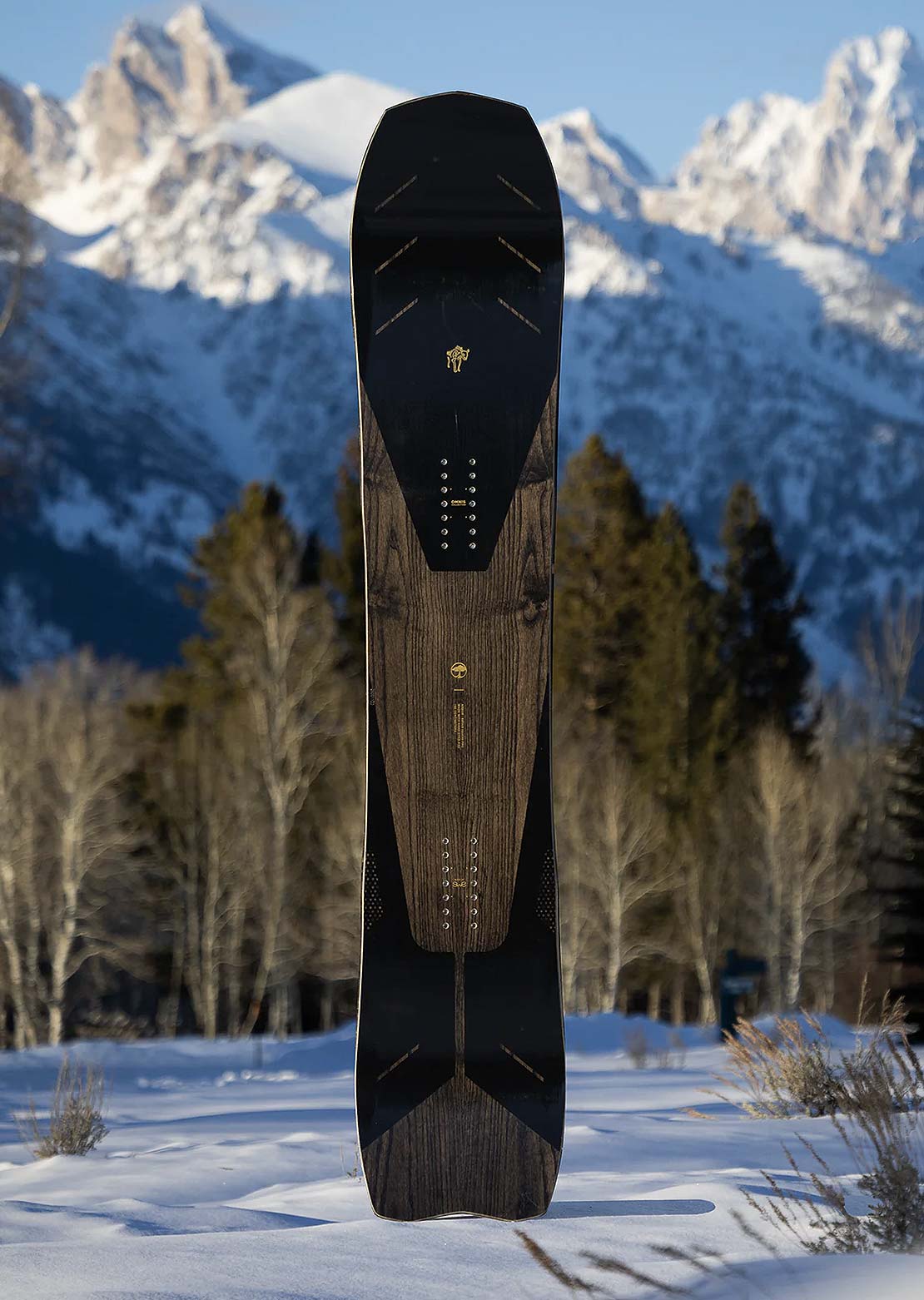 Arbor Men's Bryan Iguchi Pro Snowboard