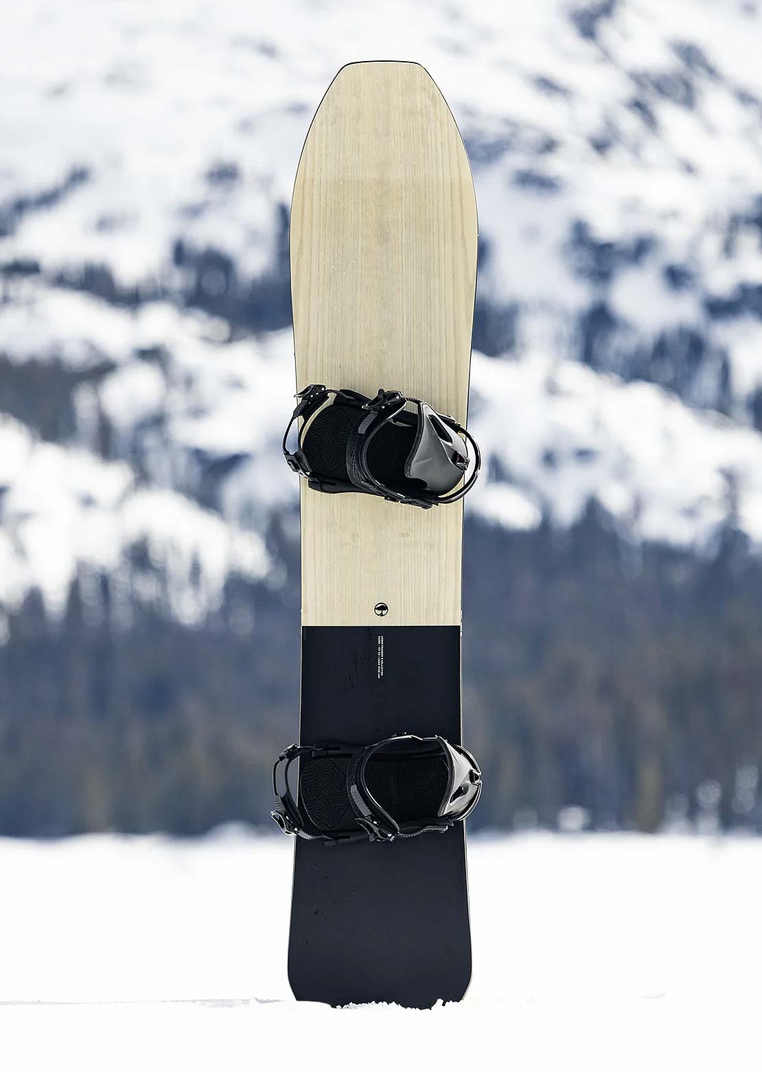 Arbor Men's Padre Snowboard