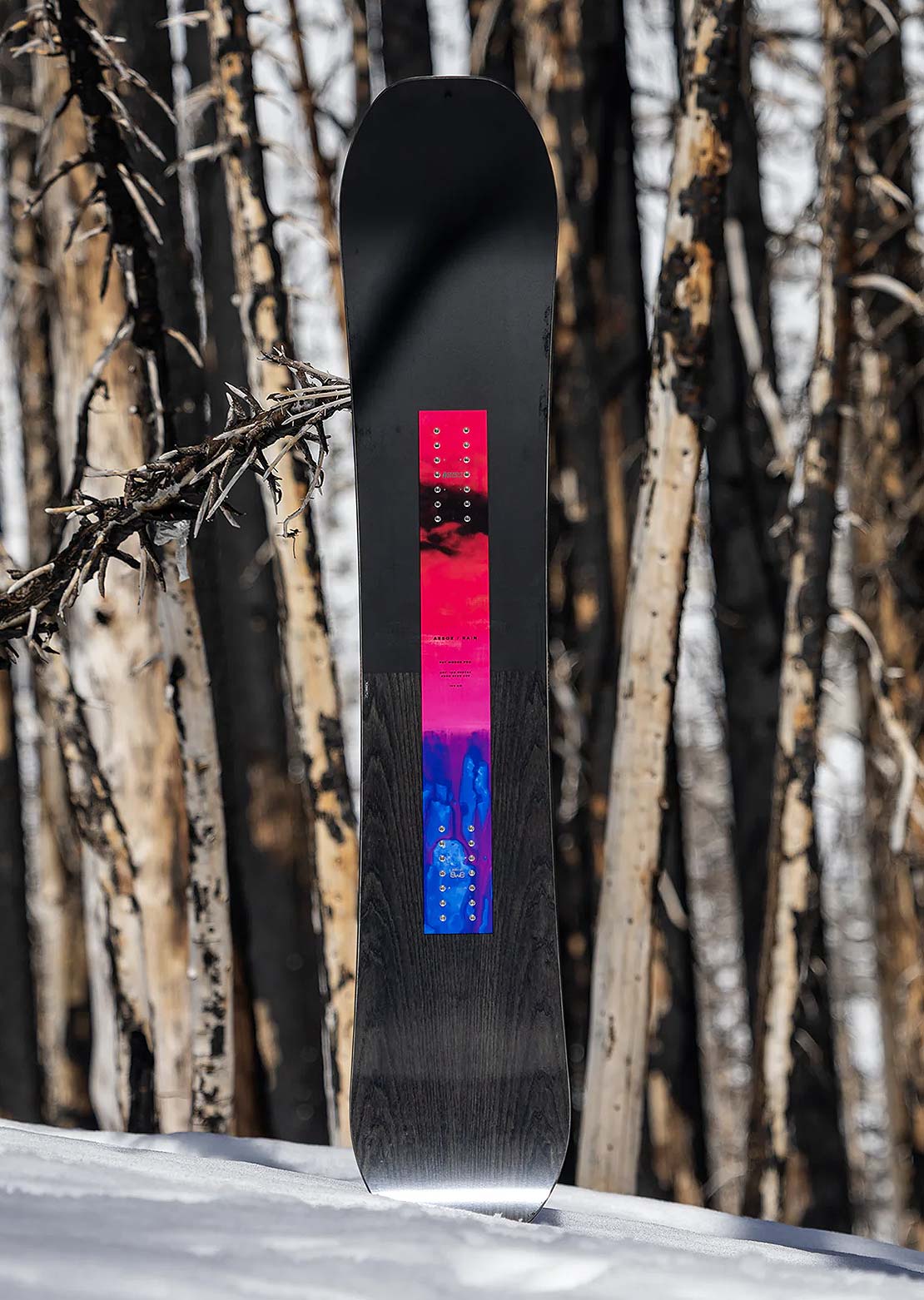 Arbor Men's Rain Snowboard