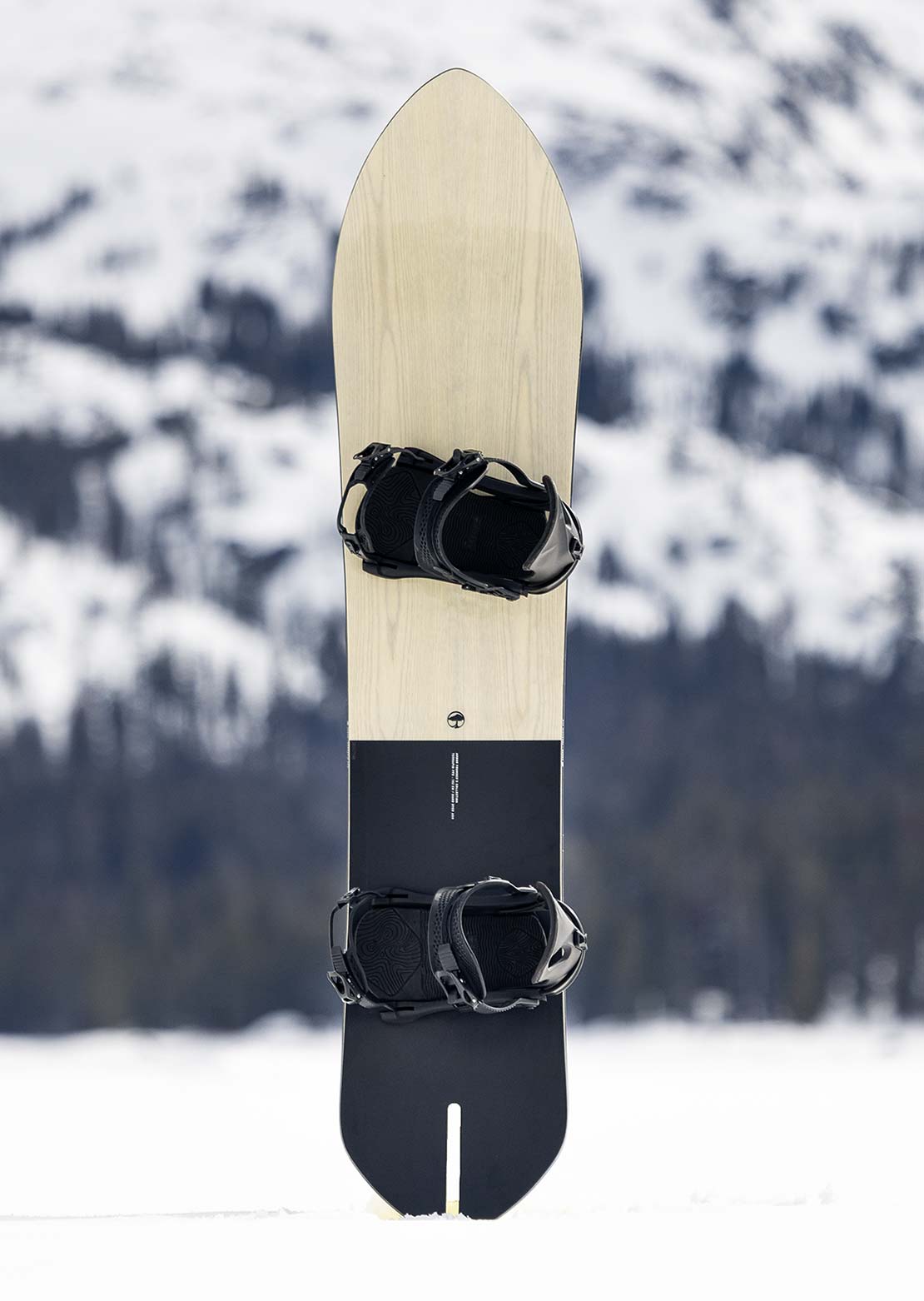 Arbor Men's Terrapin PFD Snowboard