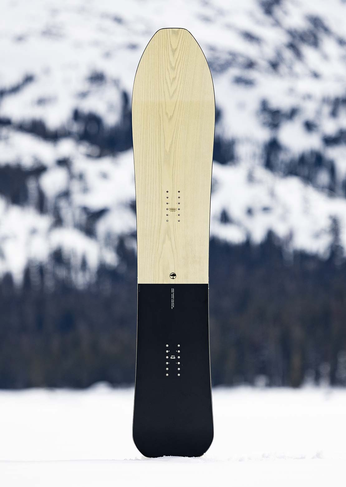 Arbor Women's Madre Snowboard