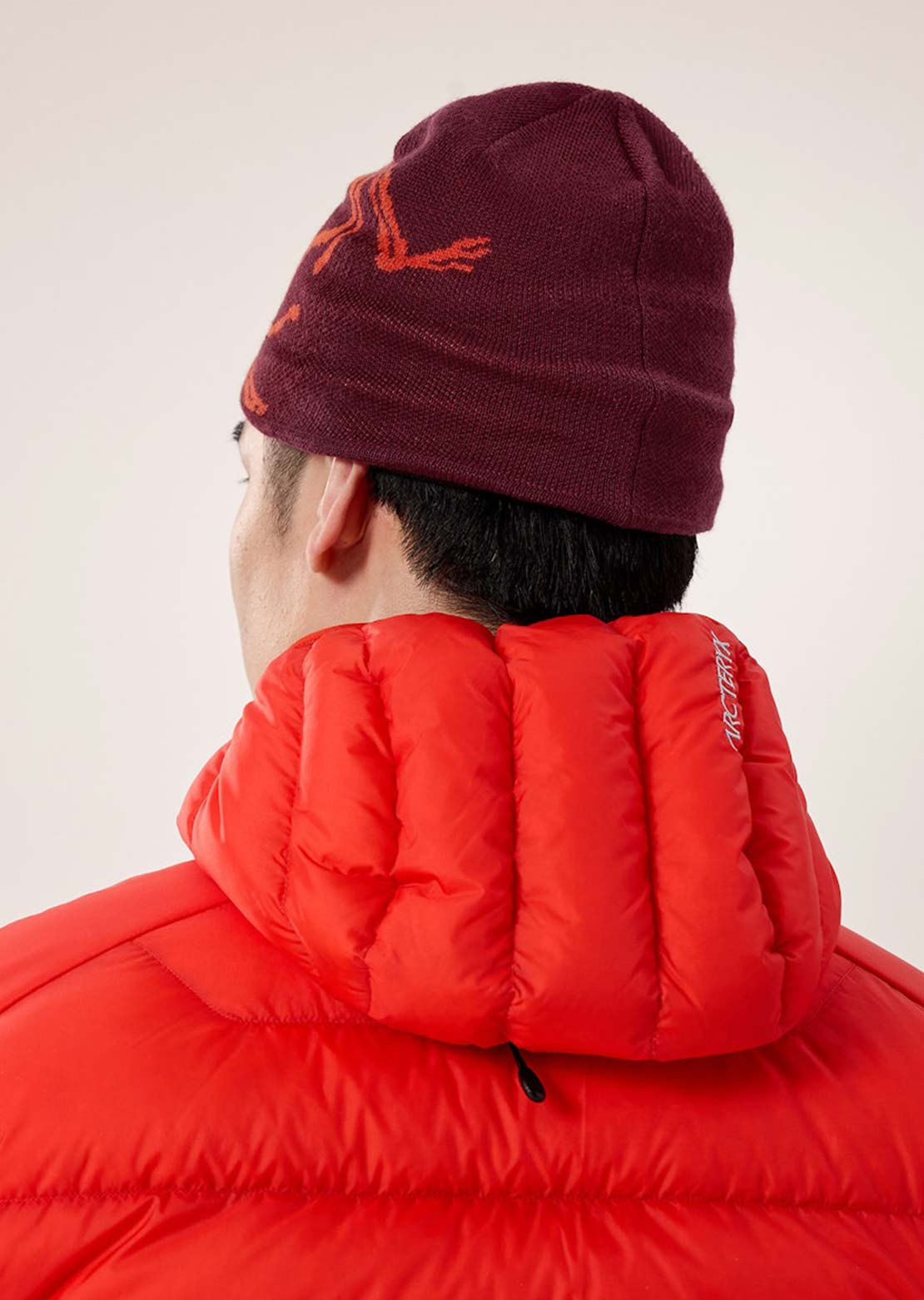 Arc'teryx Bird Head Toque Beanie Mars/Dynasty