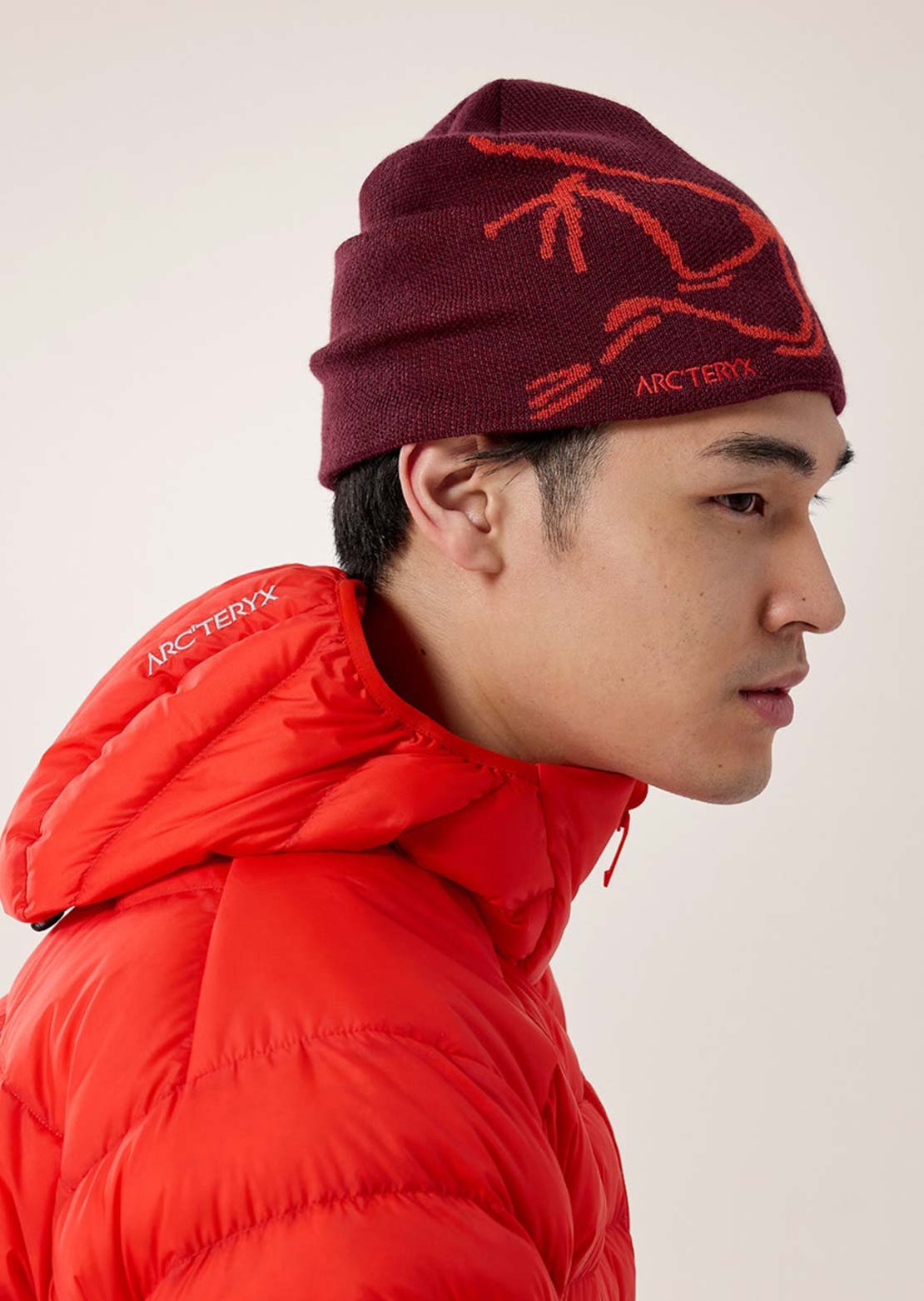 Arc'teryx Bird Head Toque Beanie Mars/Dynasty