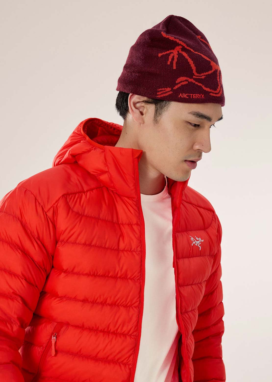 Arc'teryx Bird Head Toque Beanie Mars/Dynasty