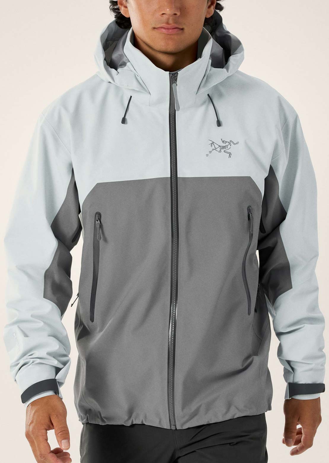 Arc'teryx Men's Beta AR Jacket Solitude Void