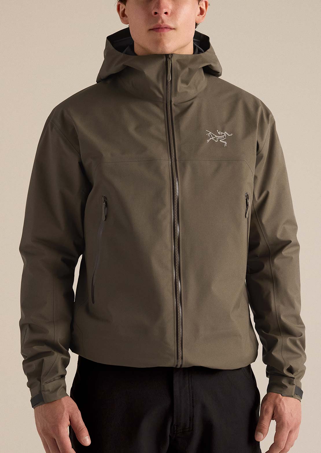 Arc'teryx Hommes Beta Manteau