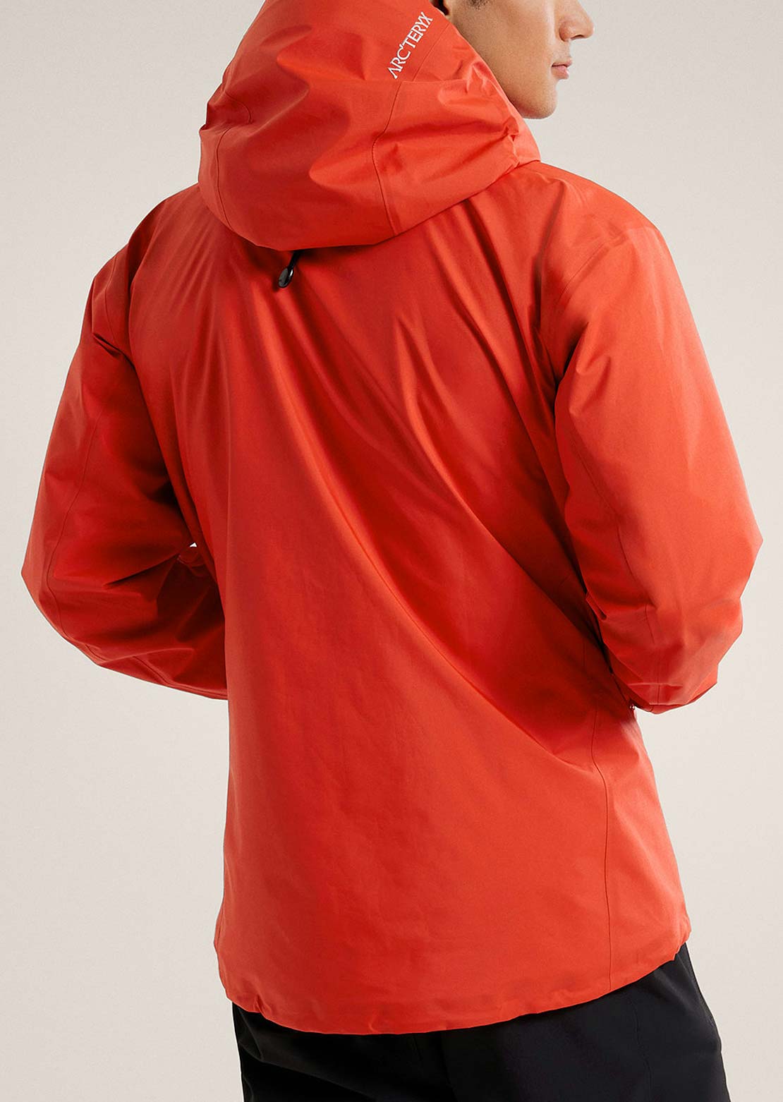 Arc'teryx Men's Beta SL Jacket Dynasty