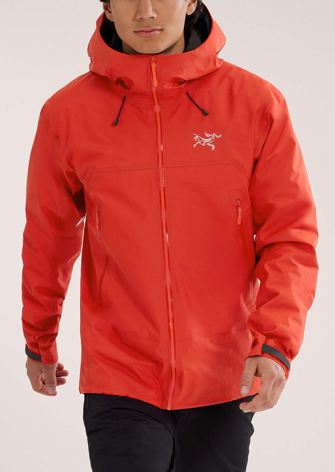 Arc'teryx Men's Beta SL Jacket Dynasty
