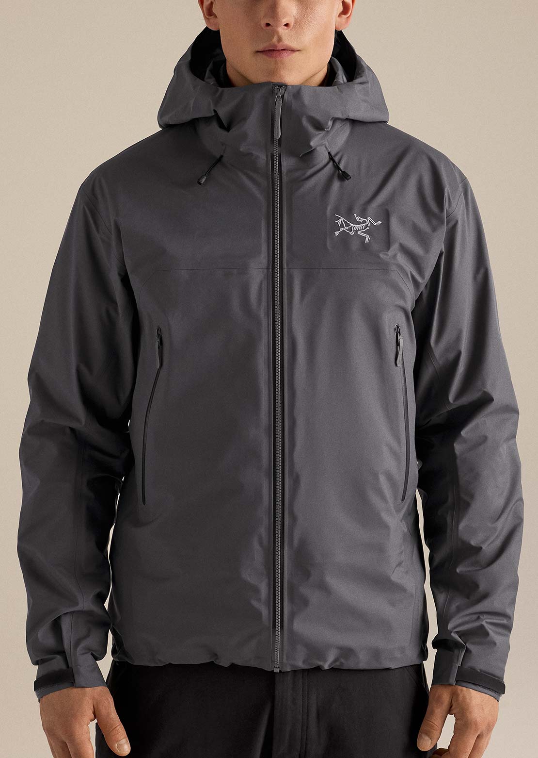 Arc'teryx Men's Beta SL Jacket Cloud