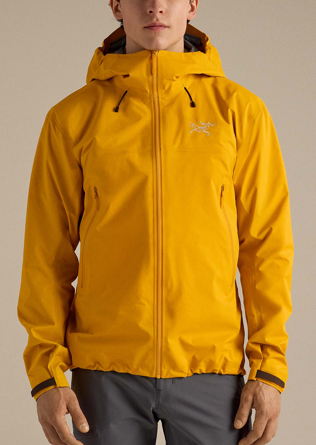 Arc'teryx Men's Beta SL Jacket Nucleus