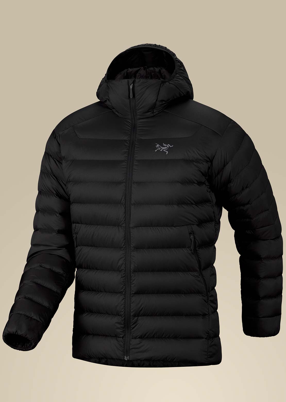 Arc'teryx Men's Cerium Hood Jacket Black