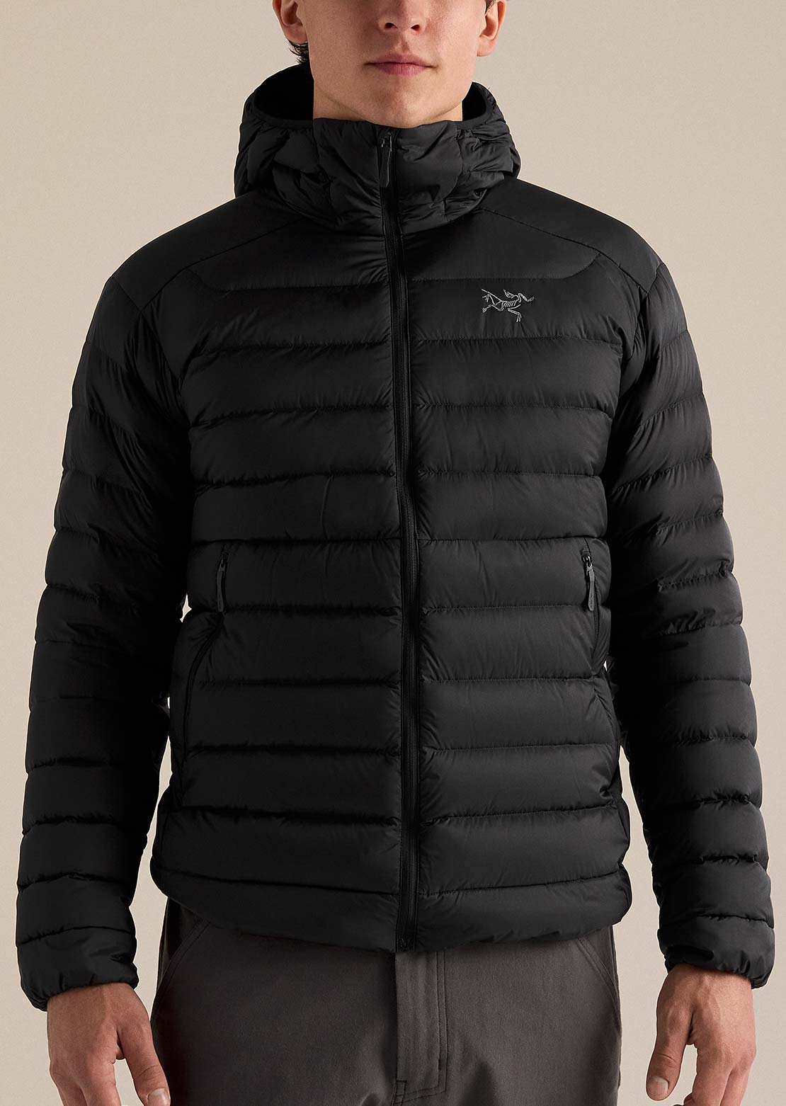 Arc'teryx Men's Cerium Hood Jacket Black