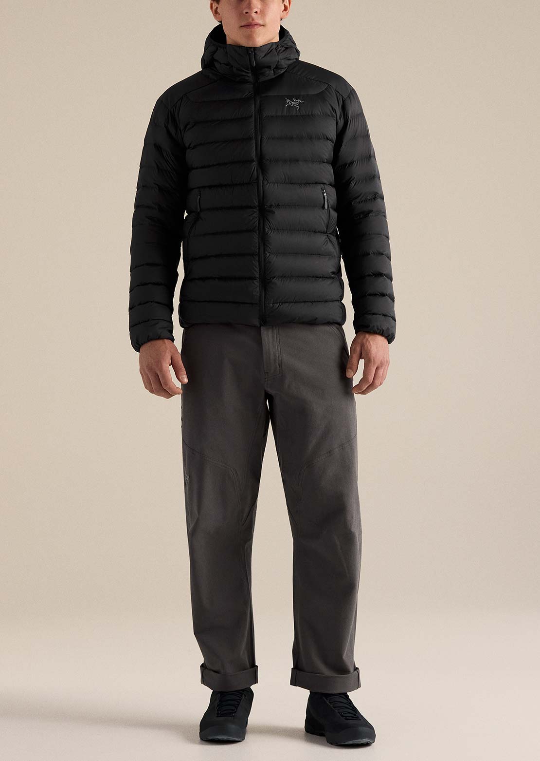 Arc'teryx Men's Cerium Hood Jacket Black