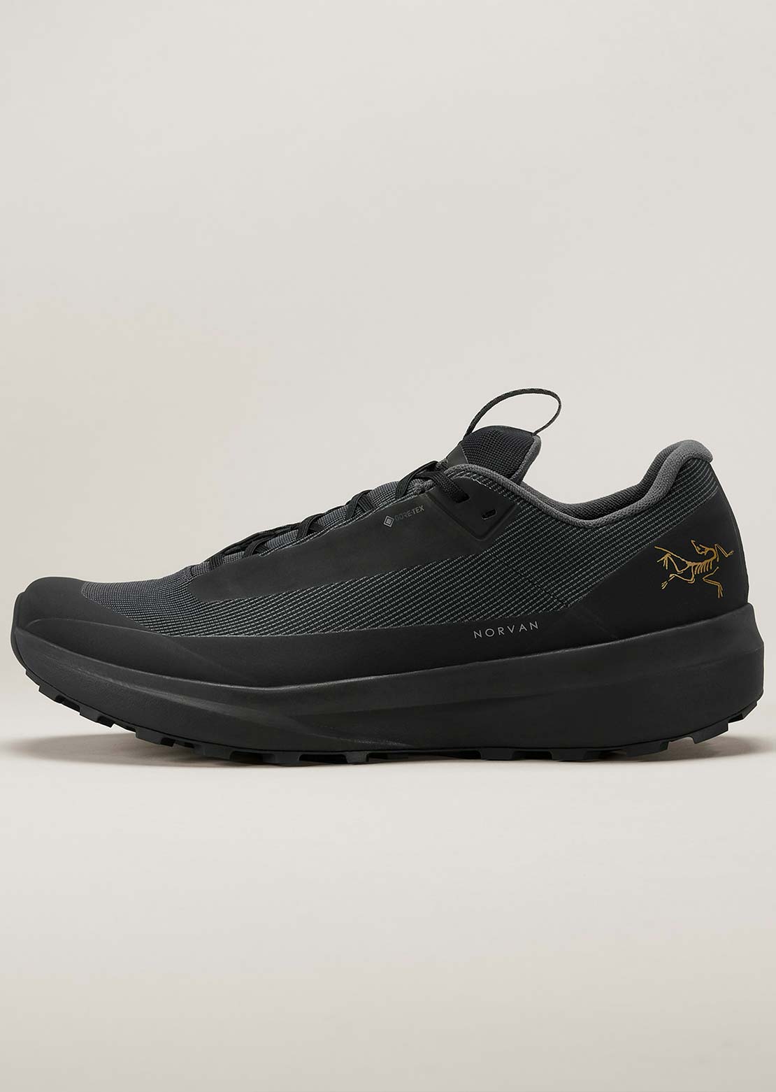 Arc'teryx Men's Norvan LD 4 Gore-Tex Shoes Black/Black