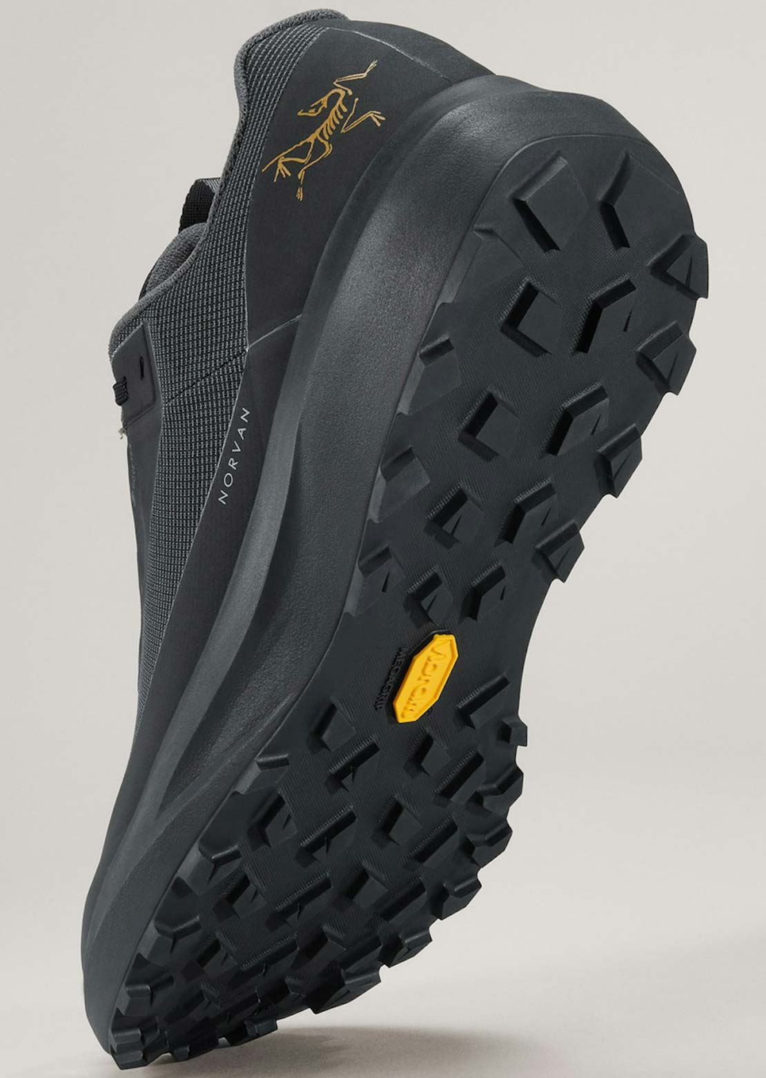 Arc'teryx Men's Norvan LD 4 Gore-Tex Shoes Black/Black