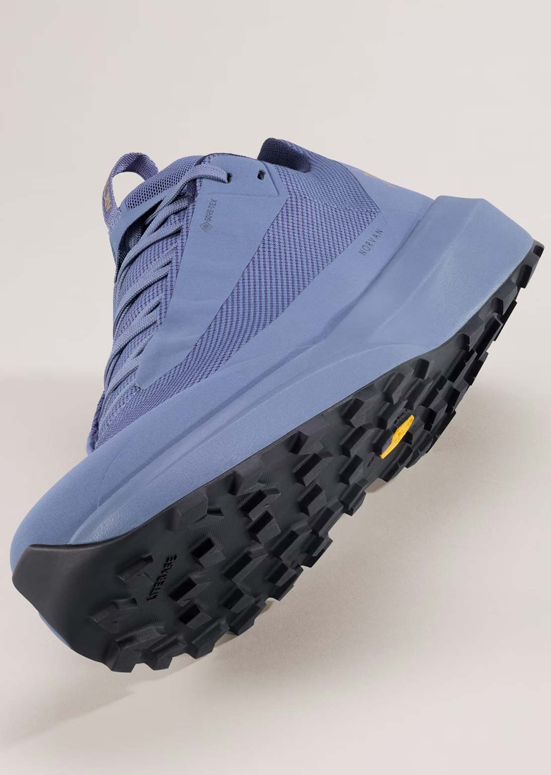 Arc'teryx Men's Norvan LD 4 Gore-Tex Shoes Light Black Sapphire/Light Black Sapphire