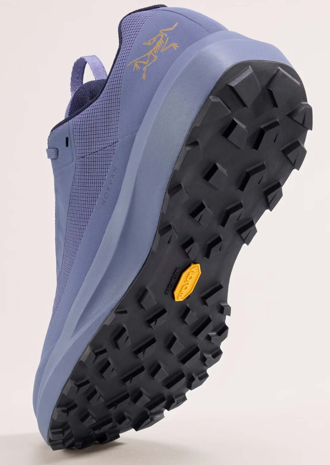 Arc'teryx Men's Norvan LD 4 Gore-Tex Shoes Light Black Sapphire/Light Black Sapphire