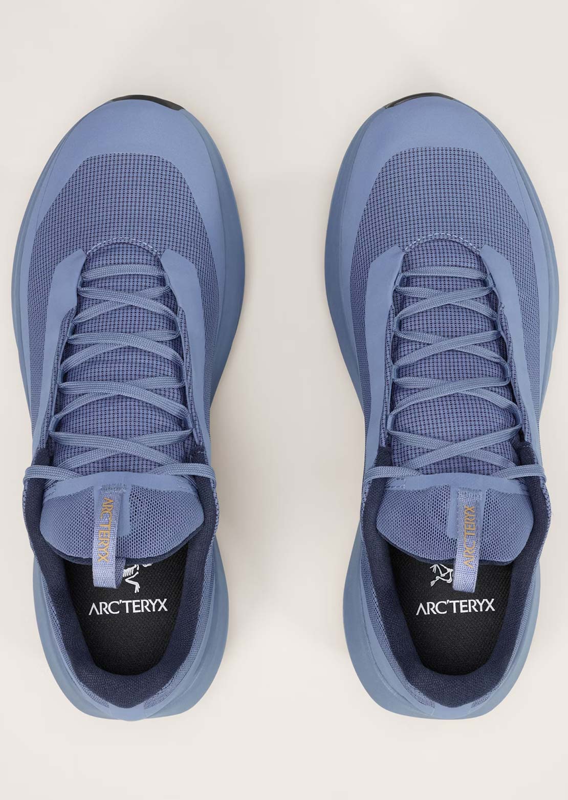 Arc'teryx Men's Norvan LD 4 Gore-Tex Shoes Light Black Sapphire/Light Black Sapphire