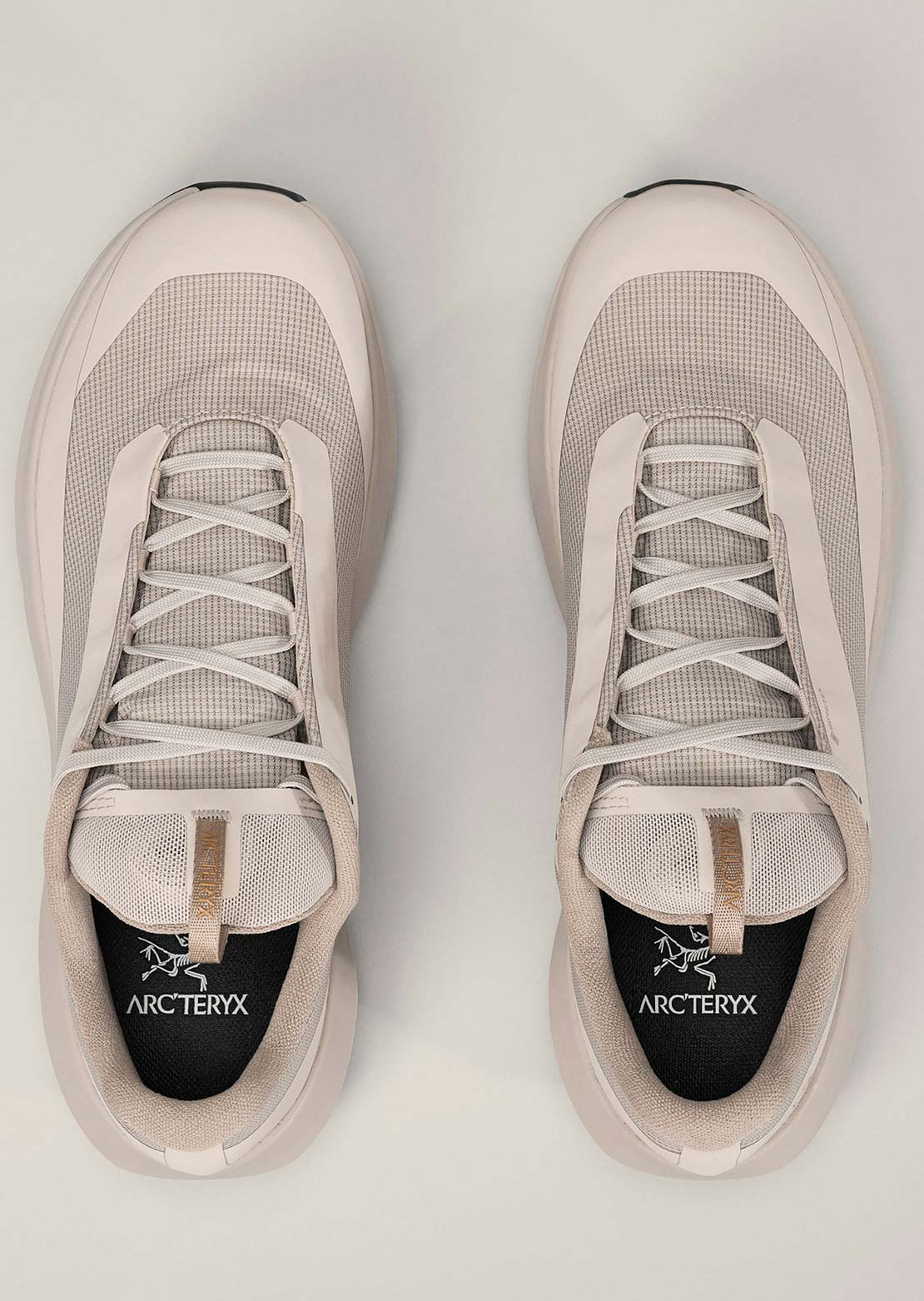 Arc'teryx Men's Norvan LD 4 Gore-Tex Shoes Rune/Rune