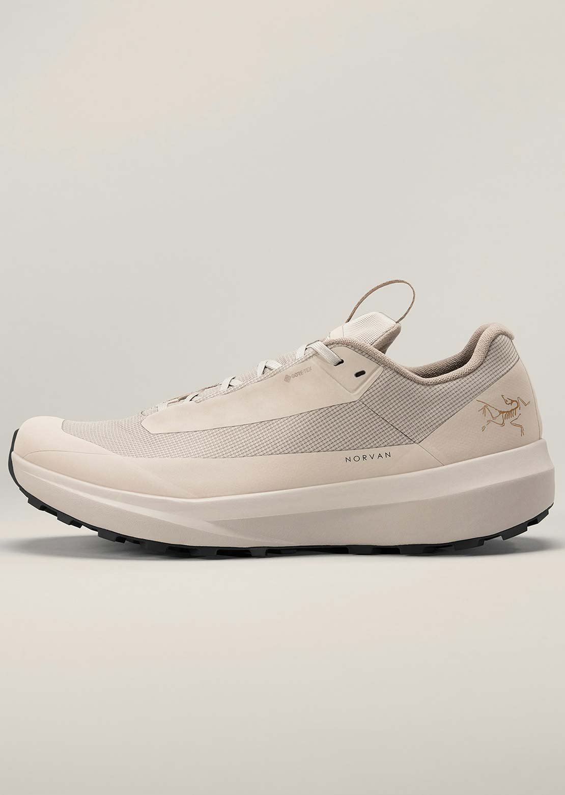 Arc'teryx Men's Norvan LD 4 Gore-Tex Shoes Rune/Rune