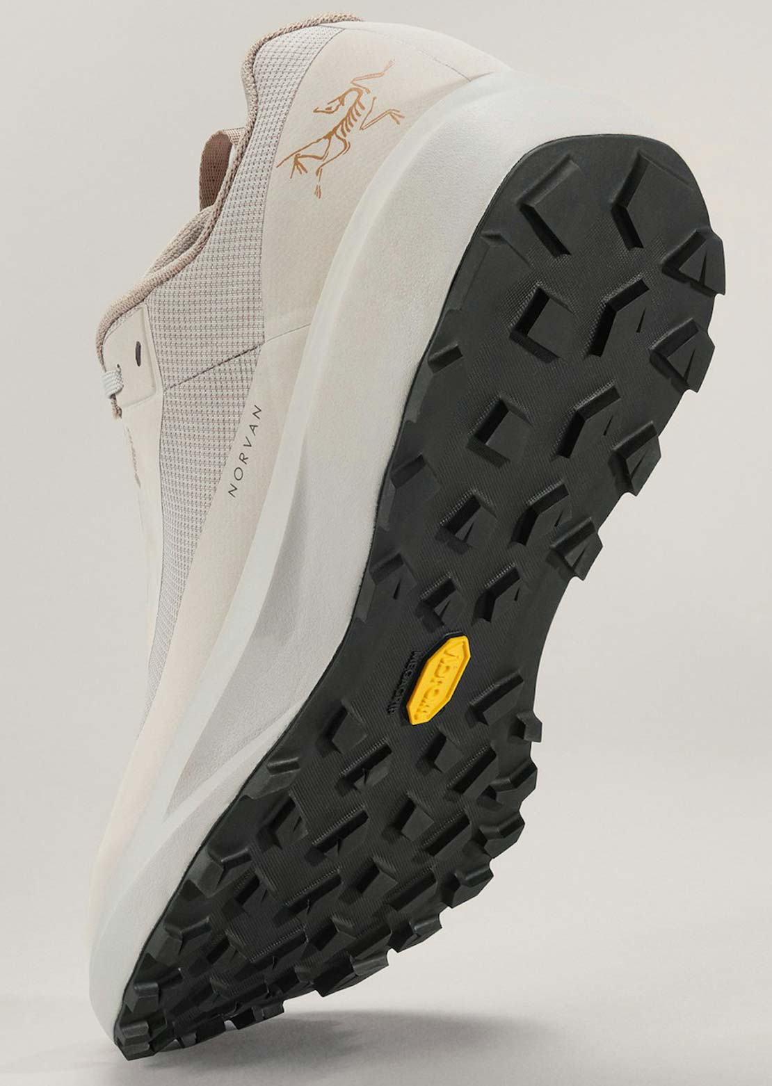 Arc'teryx Men's Norvan LD 4 Gore-Tex Shoes Rune/Rune