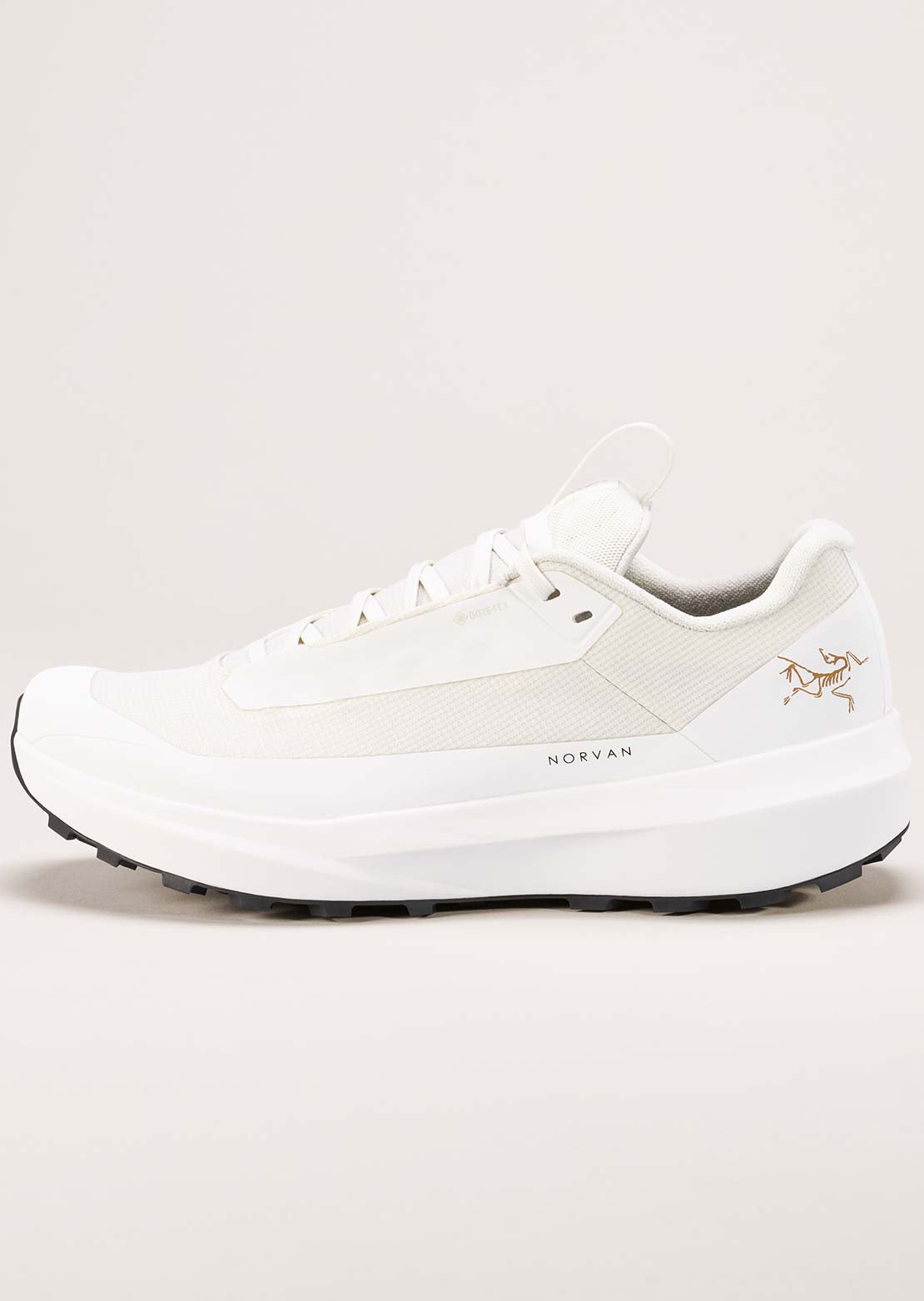 Arc'teryx Men's Norvan LD 4 GORE-TEX Shoes Arctic Silk/Arctic Silk