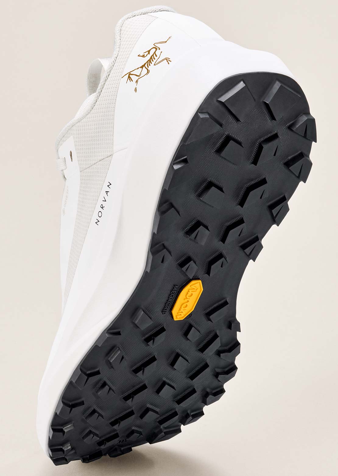Arc'teryx Men's Norvan LD 4 GORE-TEX Shoes Arctic Silk/Arctic Silk