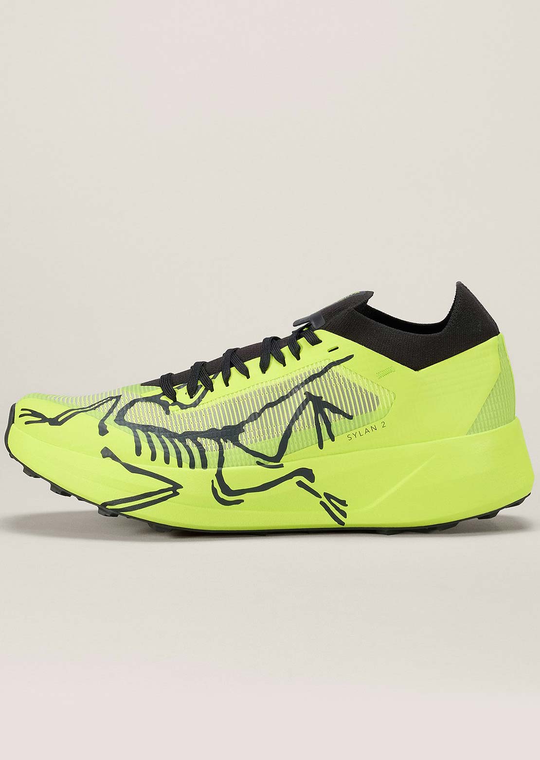 Arc'teryx Men's Sylan 2 Shoes Mantis Mantis