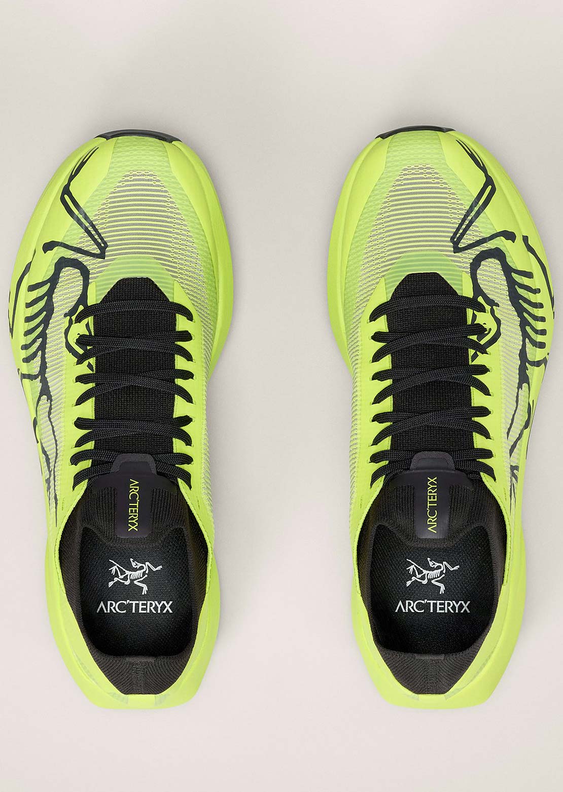 Arc'teryx Men's Sylan 2 Shoes Mantis Mantis