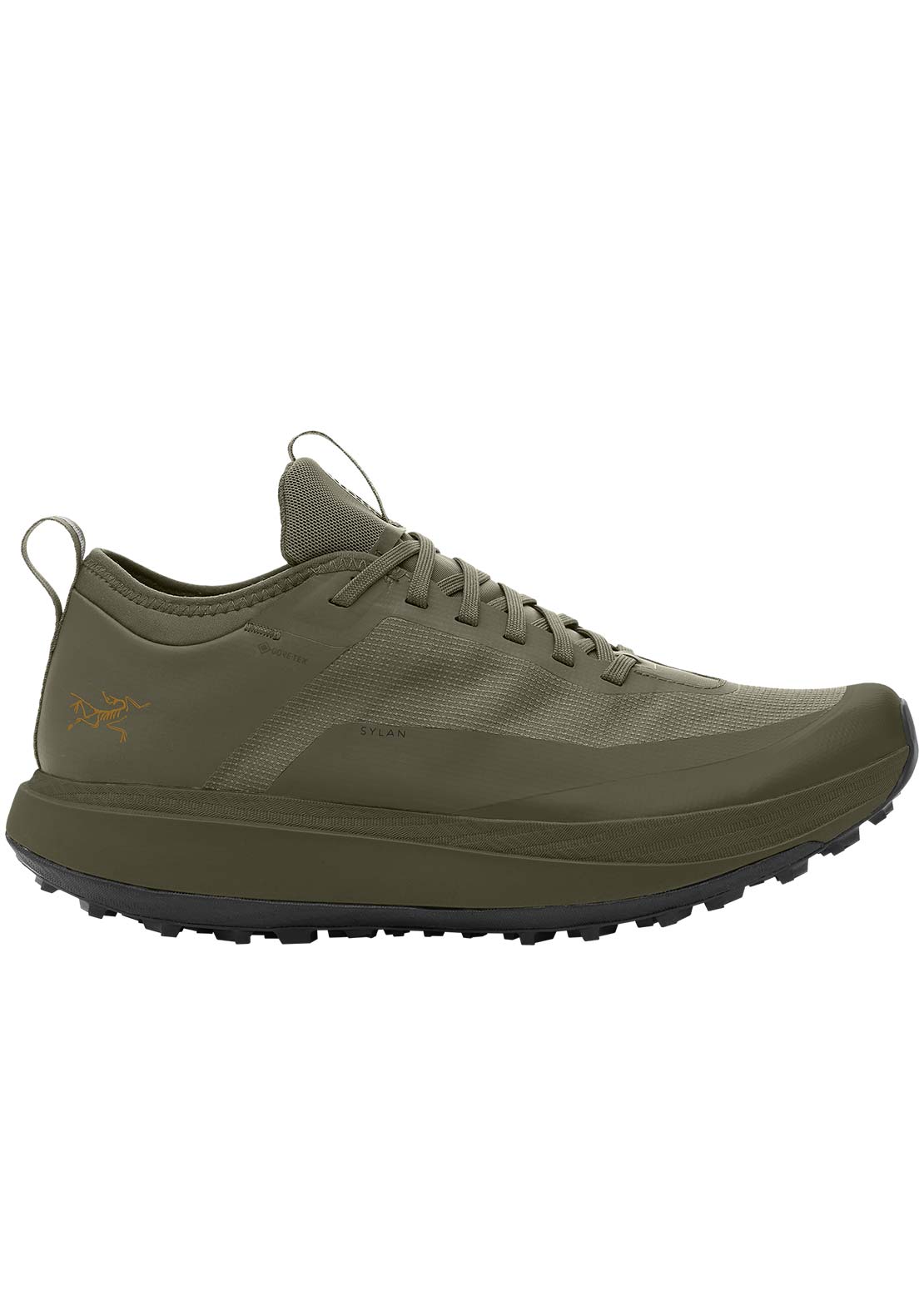 Arc'teryx Men's Sylan GTX Shoes Forage/Tatsu