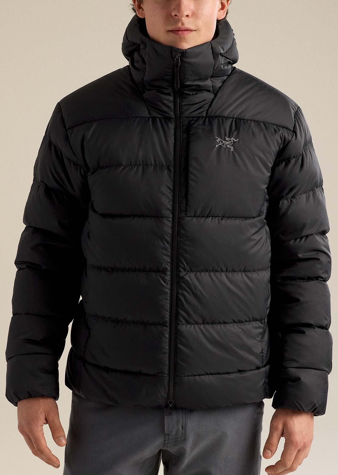 Arc'teryx Hommes Thorium Hood Manteau