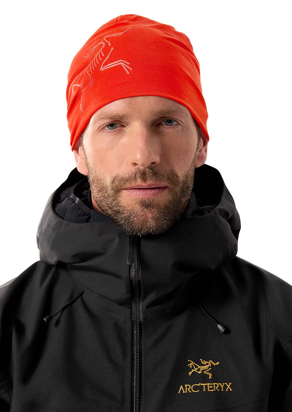 Arc'teryx Satoro Merino Toque Beanie Dynasty