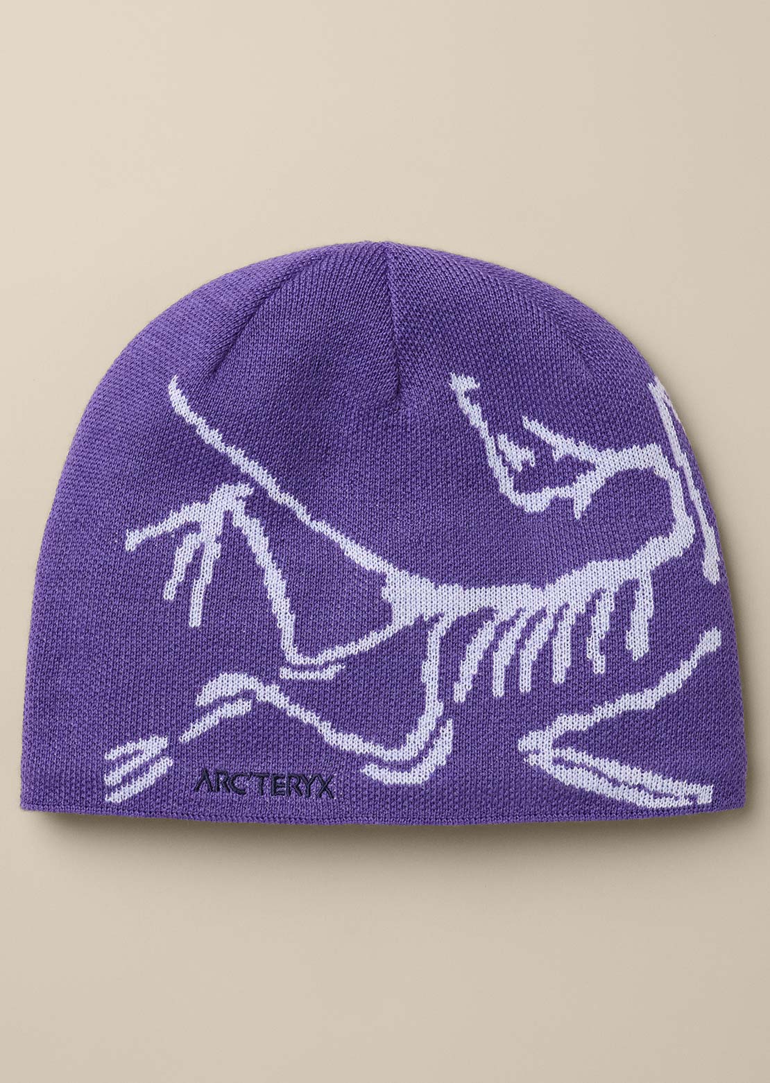 Arc'teryx Unisexe Bird Head Toque Tuque
