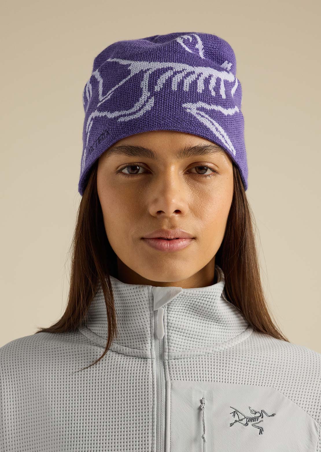 Arc'teryx Unisexe Bird Head Toque Tuque