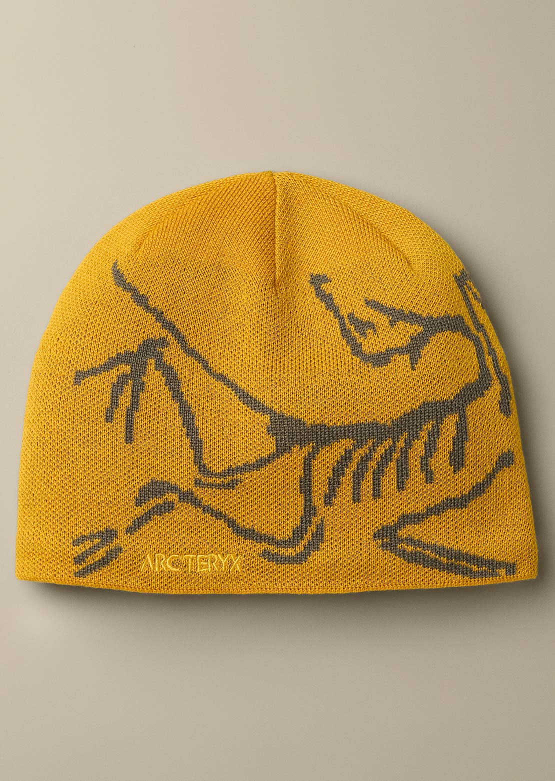 Arc'teryx Unisexe Bird Head Toque Tuque