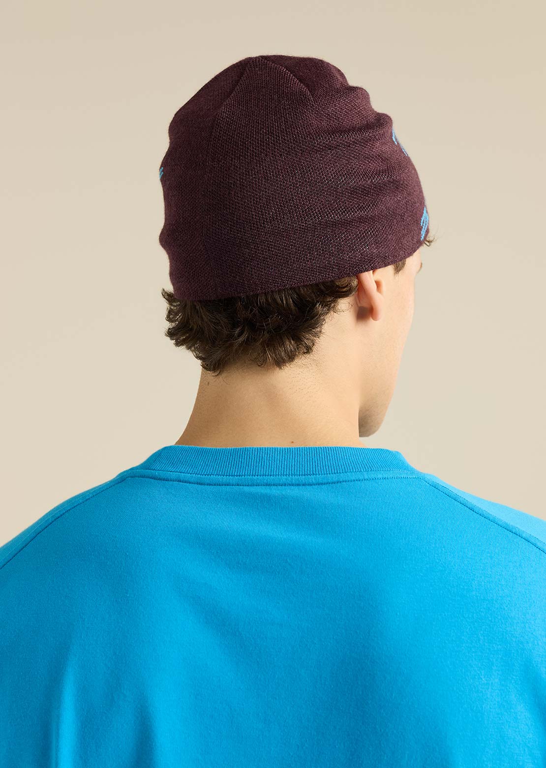Arc'teryx Unisexe Bird Head Toque Tuque