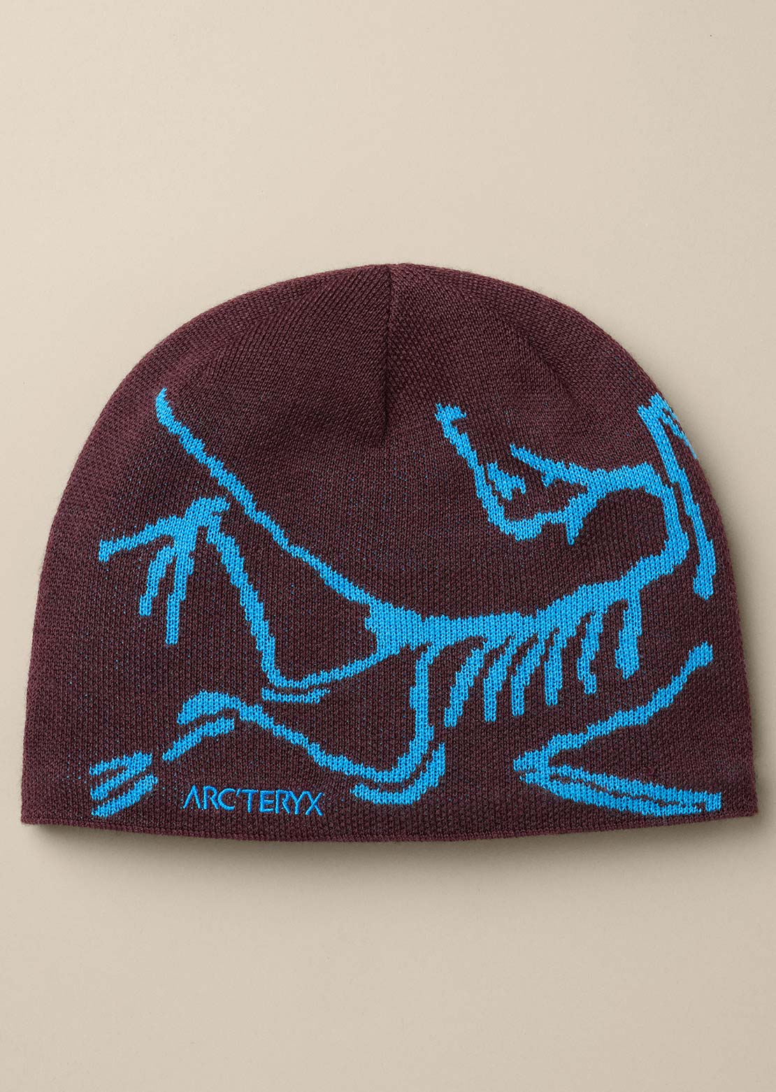 Arc'teryx Unisexe Bird Head Toque Tuque