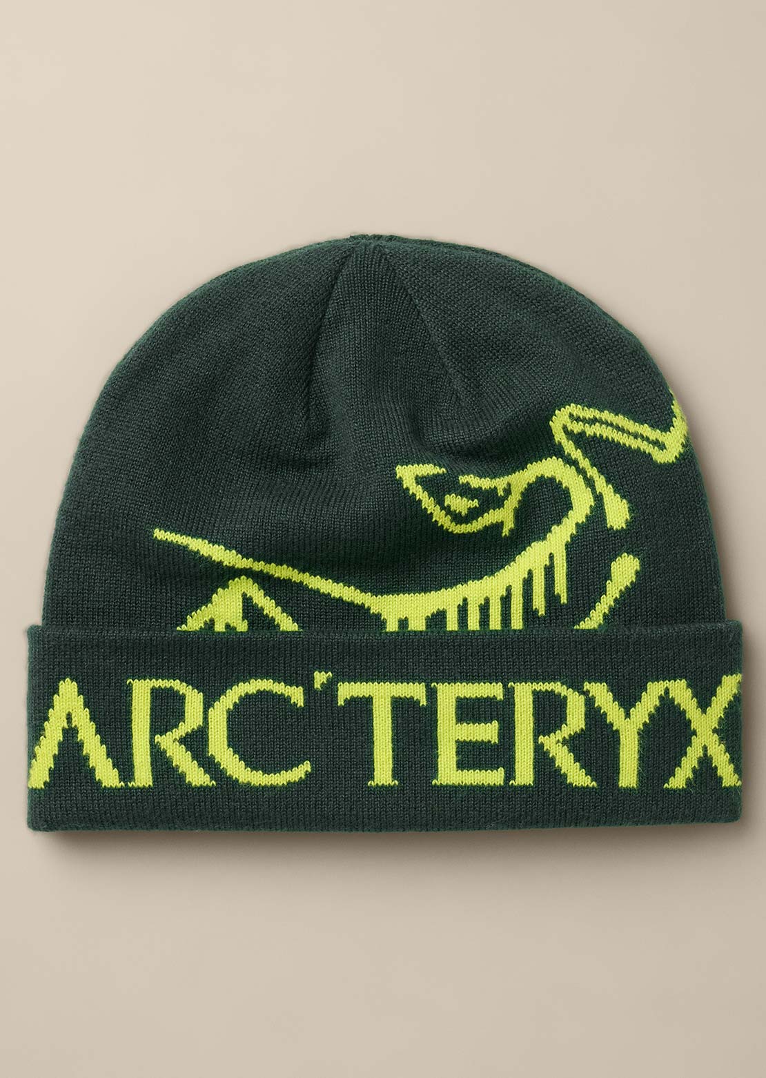 Arc'teryx Unisexe Bird Word Toque Tuque