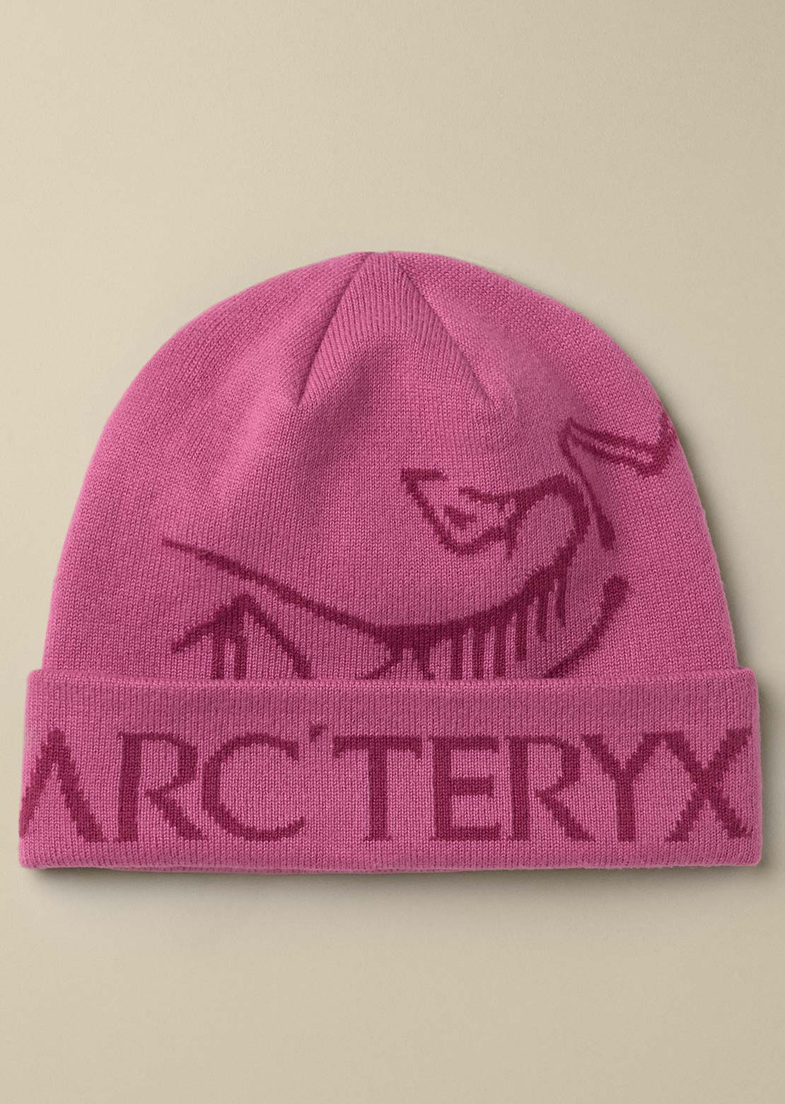 Arc'teryx Unisexe Bird Word Toque Tuque