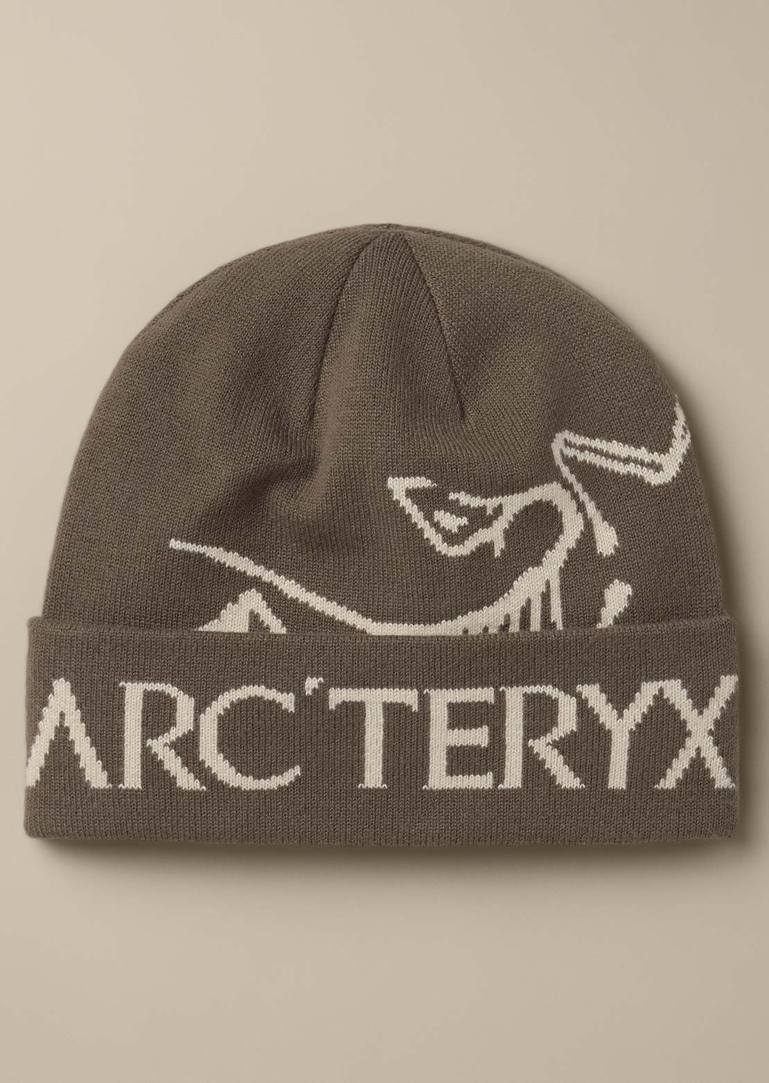 Arc'teryx Unisexe Bird Word Toque Tuque