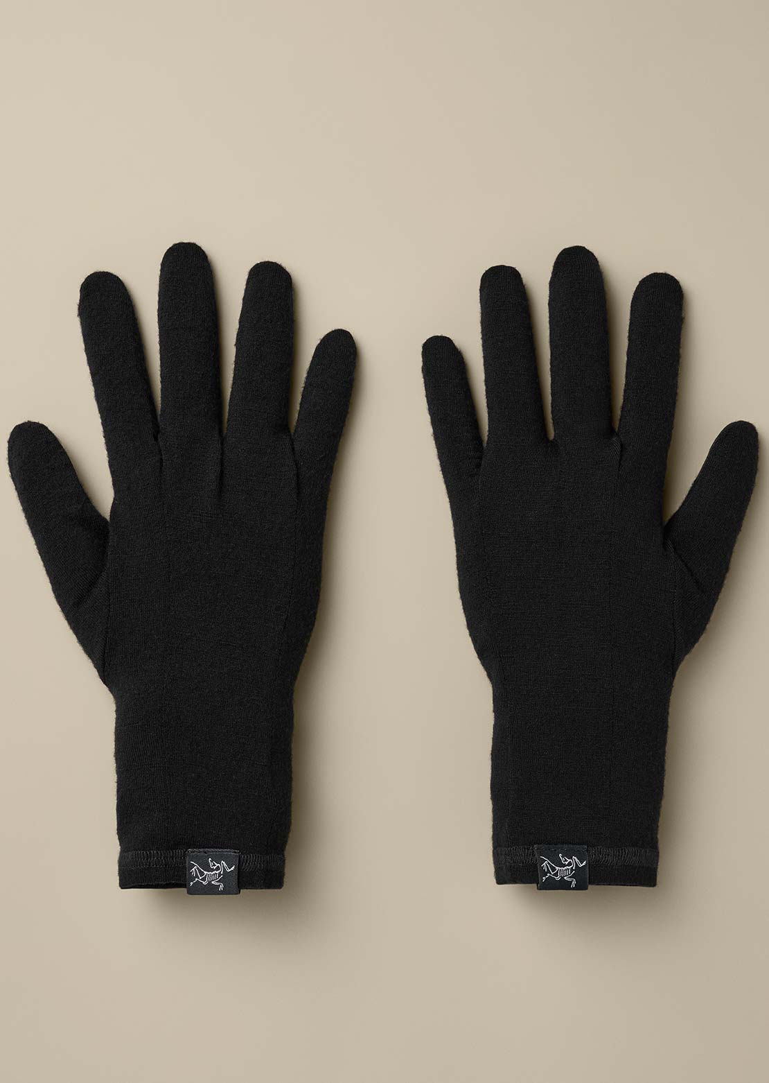 Arc'teryx Unisexe Gothic Gants