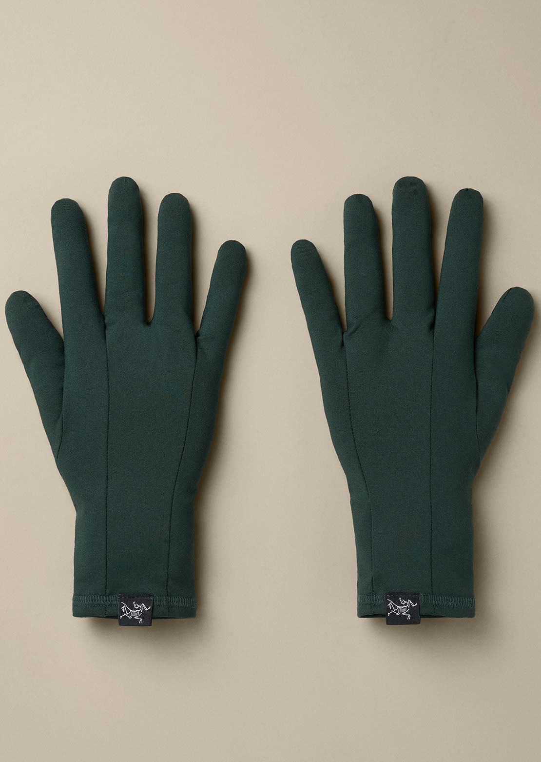 Arc'teryx Unisex Rho Gloves