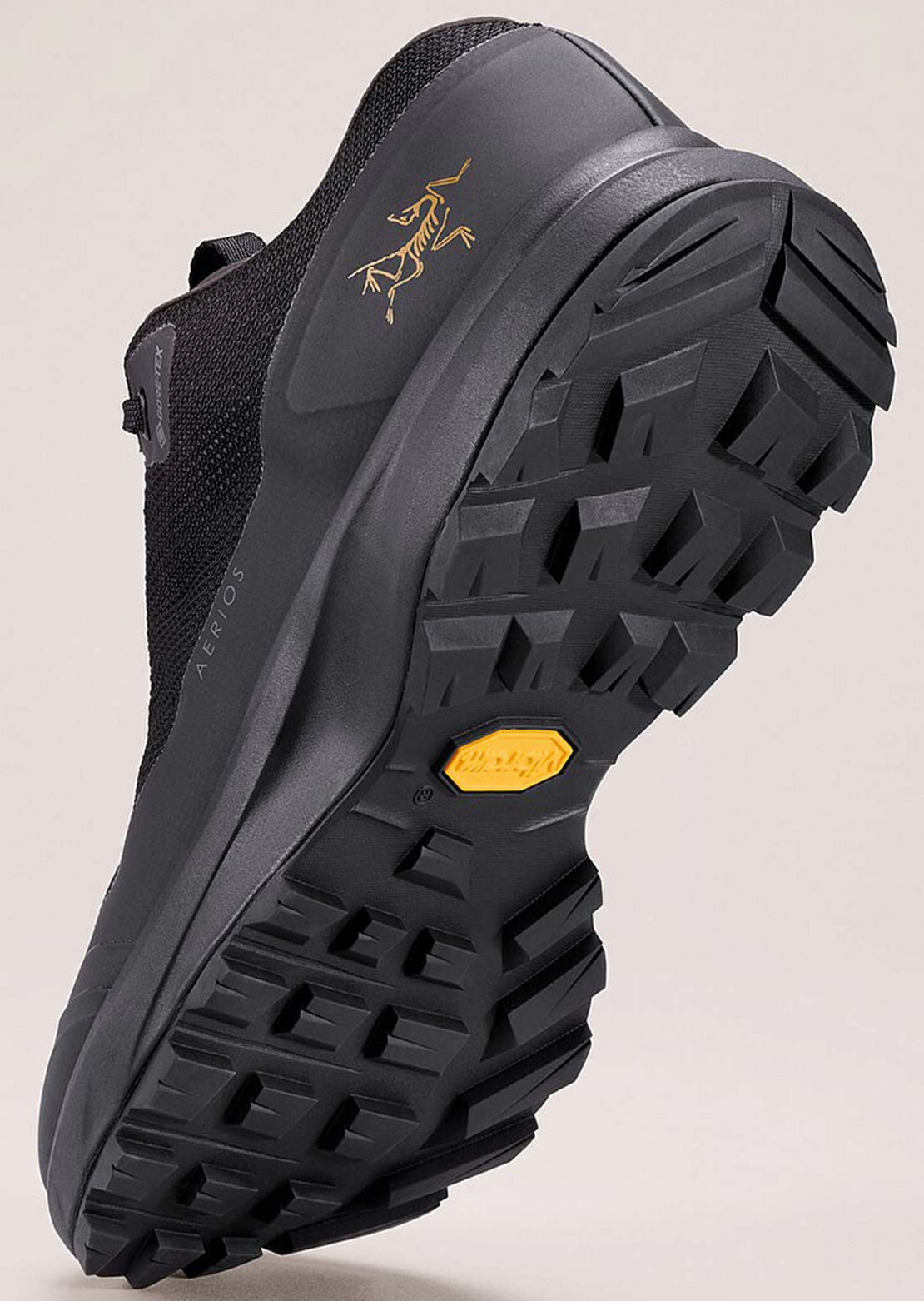 Arc&#39;teryx Women&#39;s Aerios FL 2 GORE-TEX Shoes Black/Black