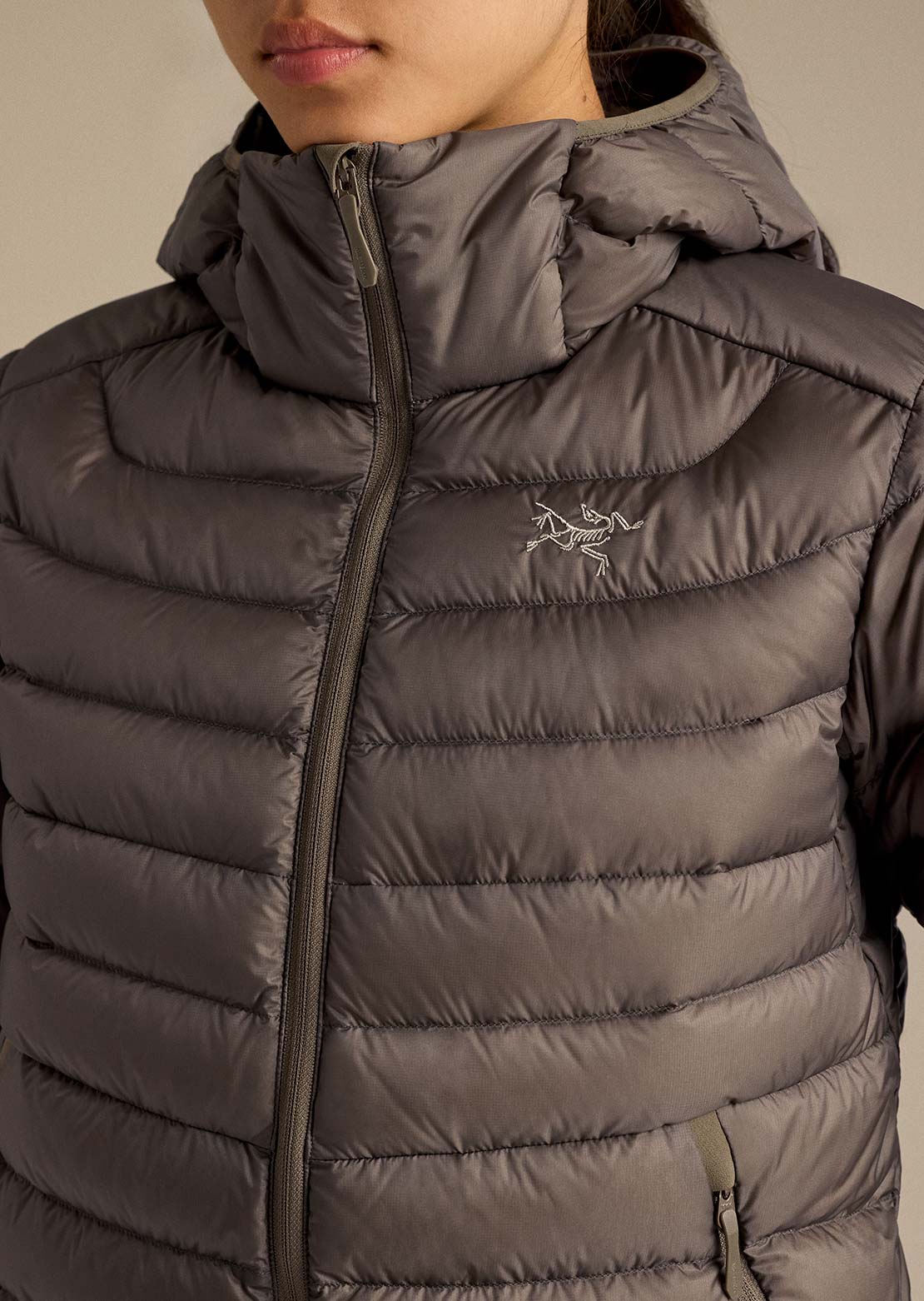 Arc'teryx Women's Cerium Hood Jacket