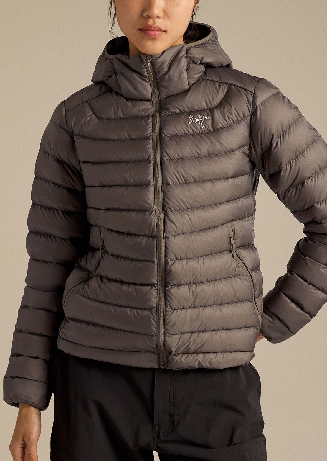 Arc'teryx Women's Cerium Hood Jacket