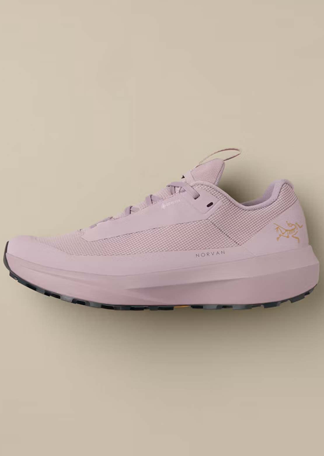 Arc'teryx Women's Norvan LD 4 GORE-TEX Shoes