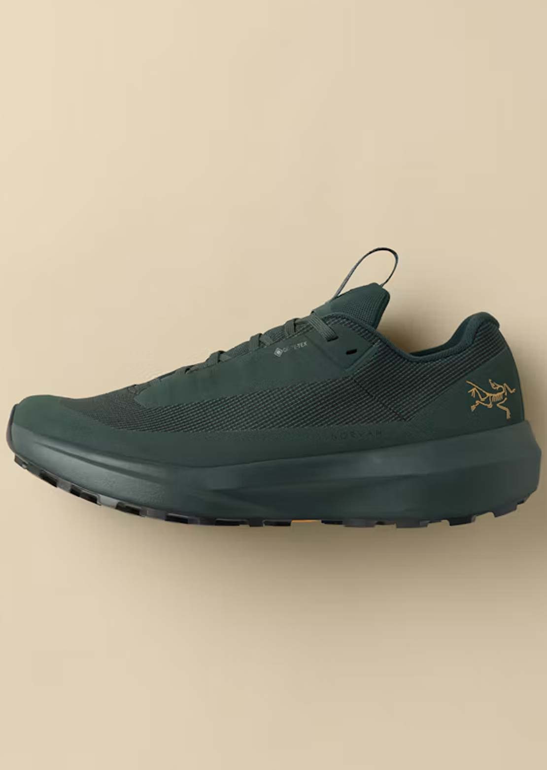 Arc'teryx Women's Norvan LD 4 GORE-TEX Shoes