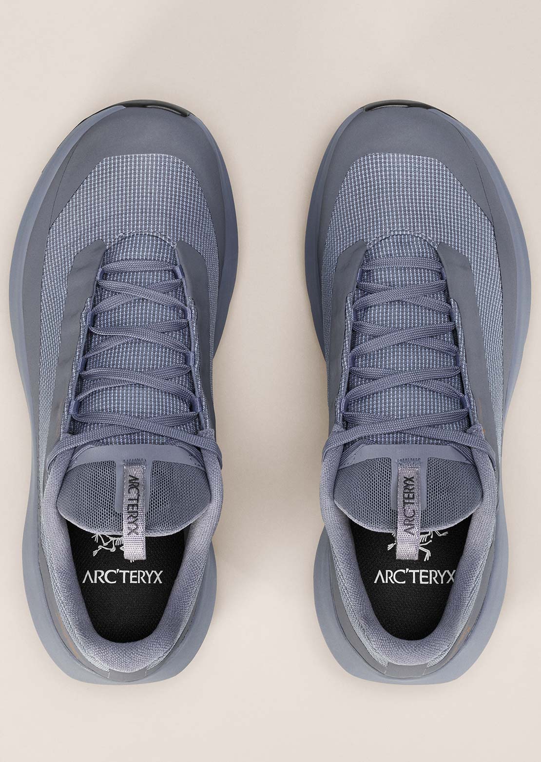 Arc'teryx Women's Norvan LD 4 GORE-TEX Shoes Stratus/Stratus